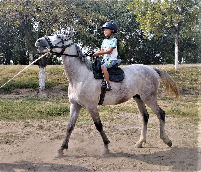 Конный клуб Horseka Resort в Подмосковье | конные прогулки и обучение верховой езде